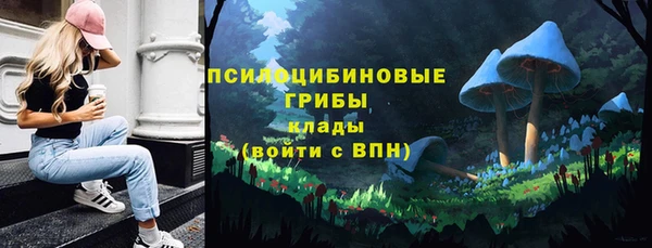 марки lsd Медногорск
