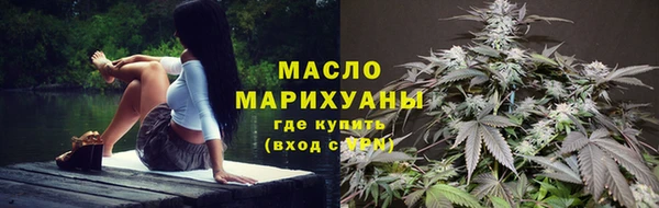 твердый Мегион