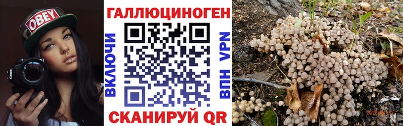 mega   продажа наркотиков  Рудня  Галлюциногенные грибы Magic Shrooms 
